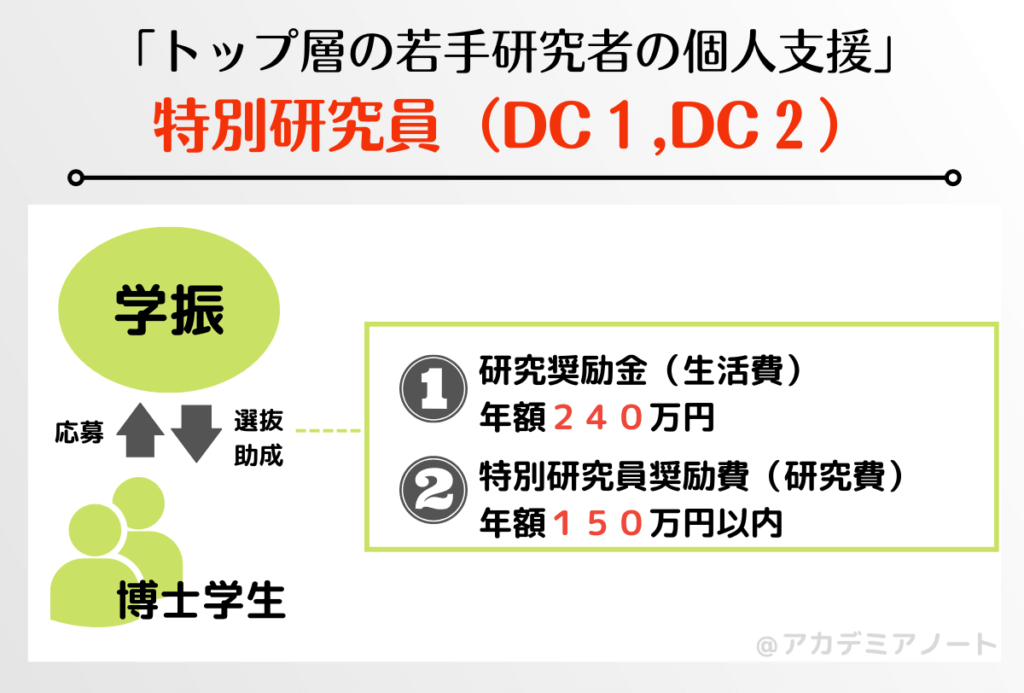 特別研究員DCの概要