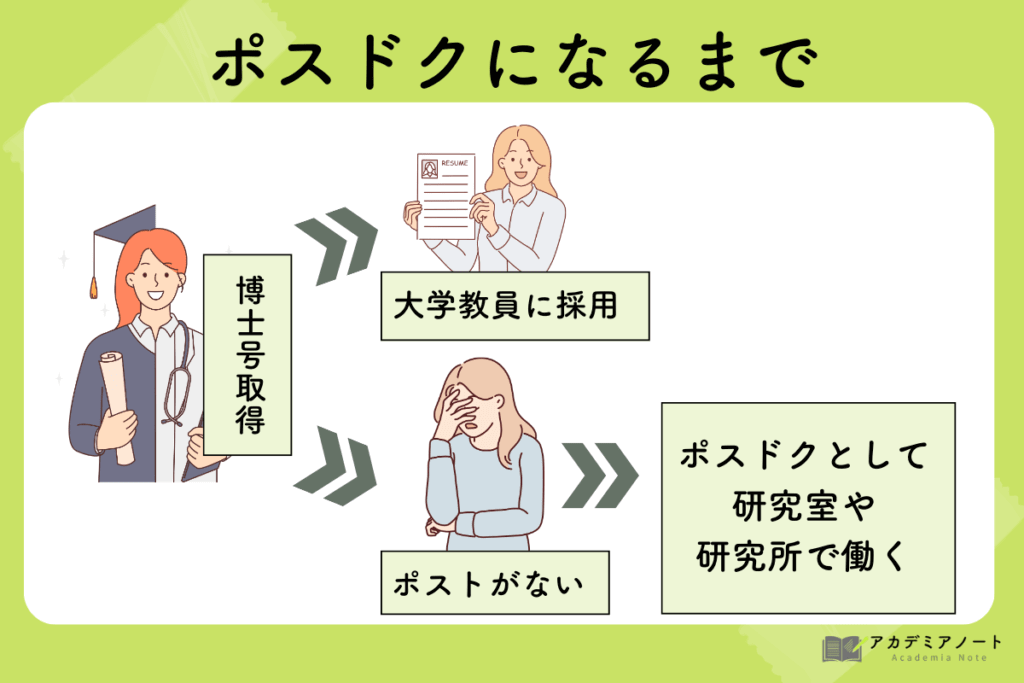 ポスドクになるまでの流れ