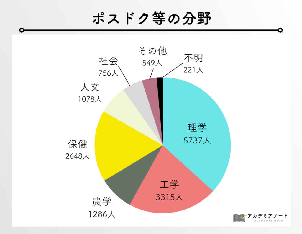 ポスドク等の分野