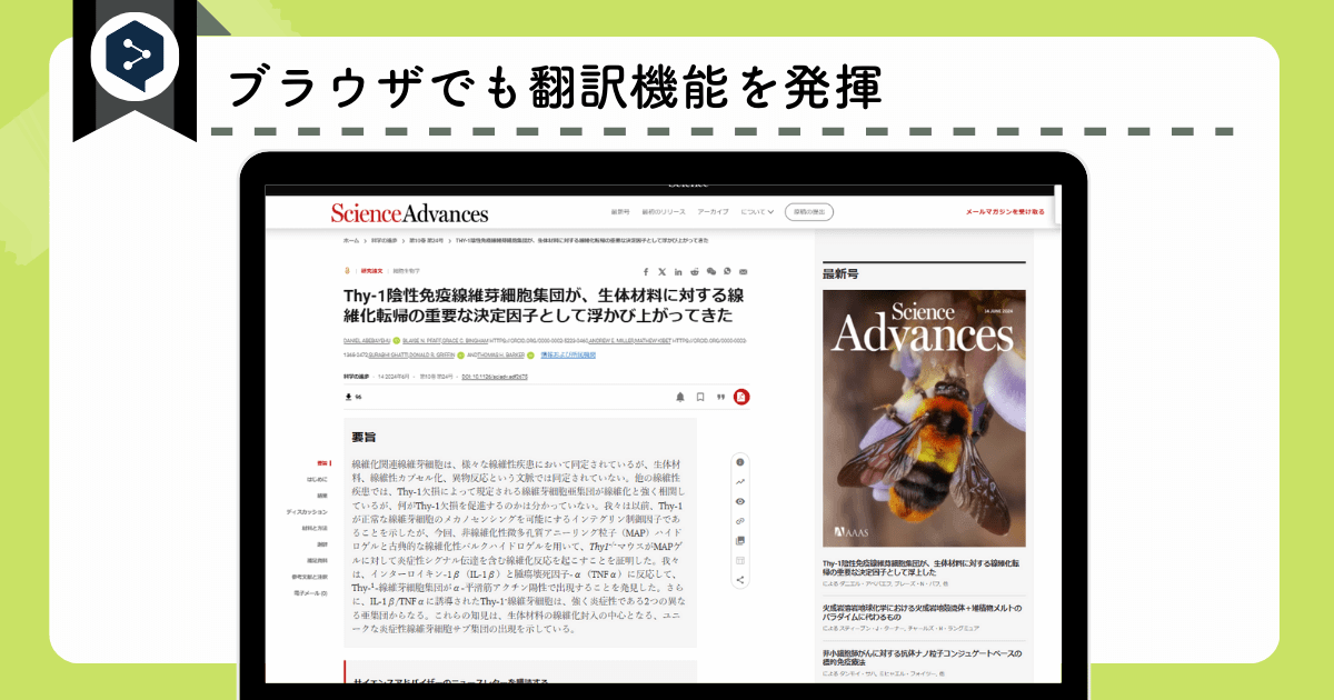 DeepL Proのおすすめ機能③：ブラウザなどさまざまな場所で働く翻訳機能