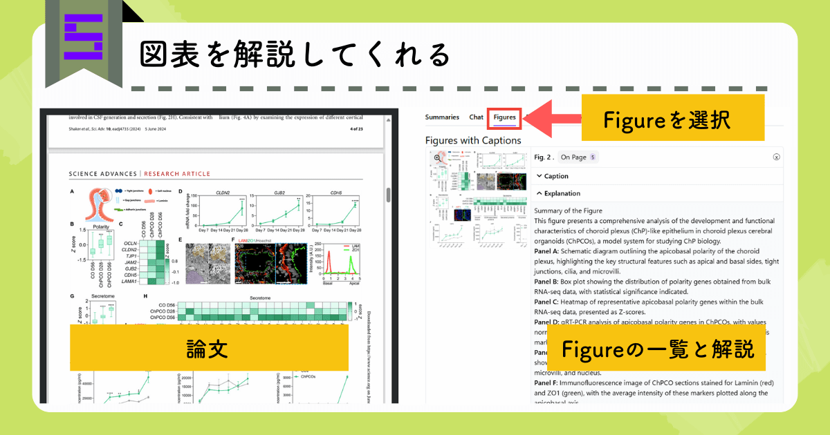 Scisummaryの便利な機能:図表も解説してくれる
