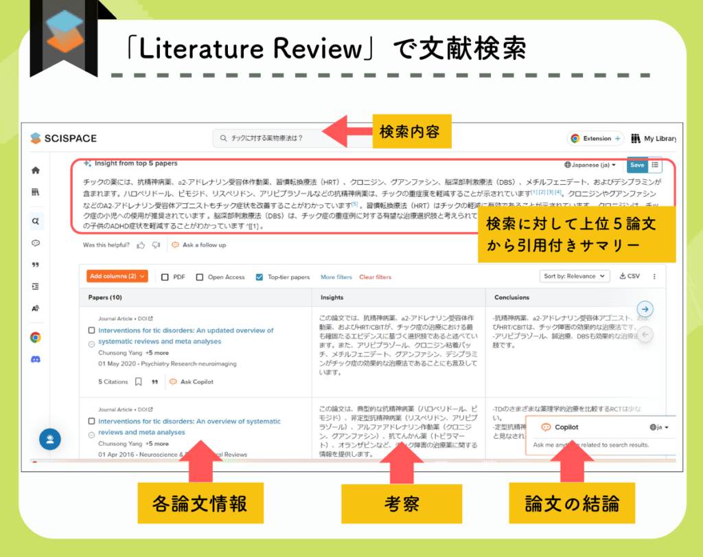 「Literature Review」タブで文献検索をした実際の画面