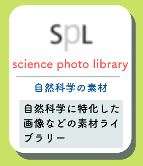 Science photo libraryの概要