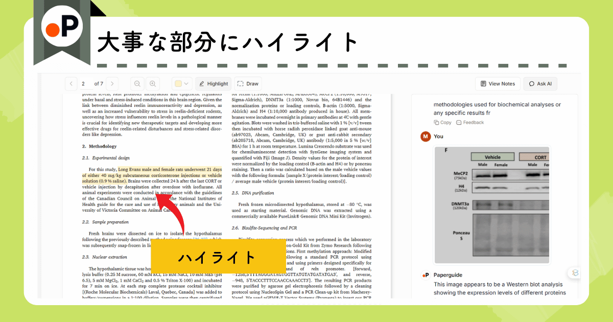 Paperguide:論文読解サポート(ハイライト機能)