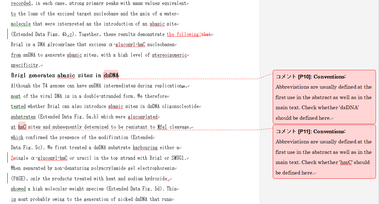 Paperpalの投稿準備段階チェックの実際のレポート(本文セクション)