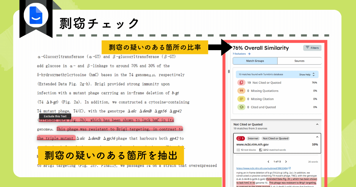 Paperpalで剽窃チェックを行う