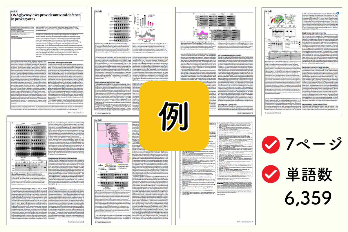 英文校正サービスを実際に利用(依頼する論文の単語数に関する例)