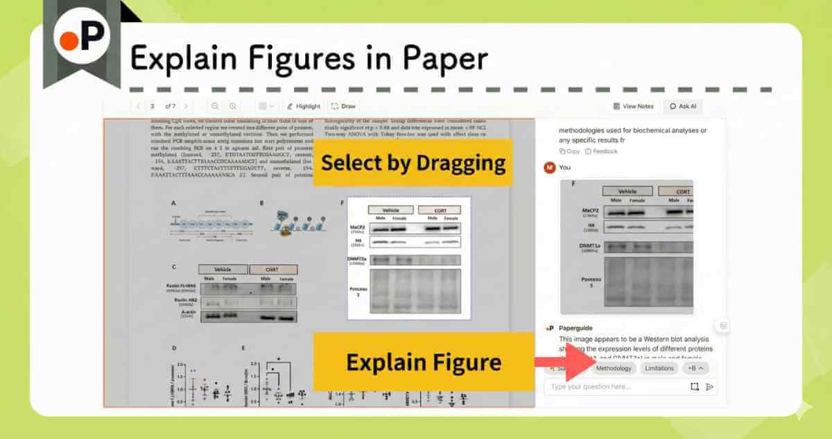 연구 논문 내에서 드래그하여 선택한 수치를 설명할 수 있는 페이퍼가이드 기능.