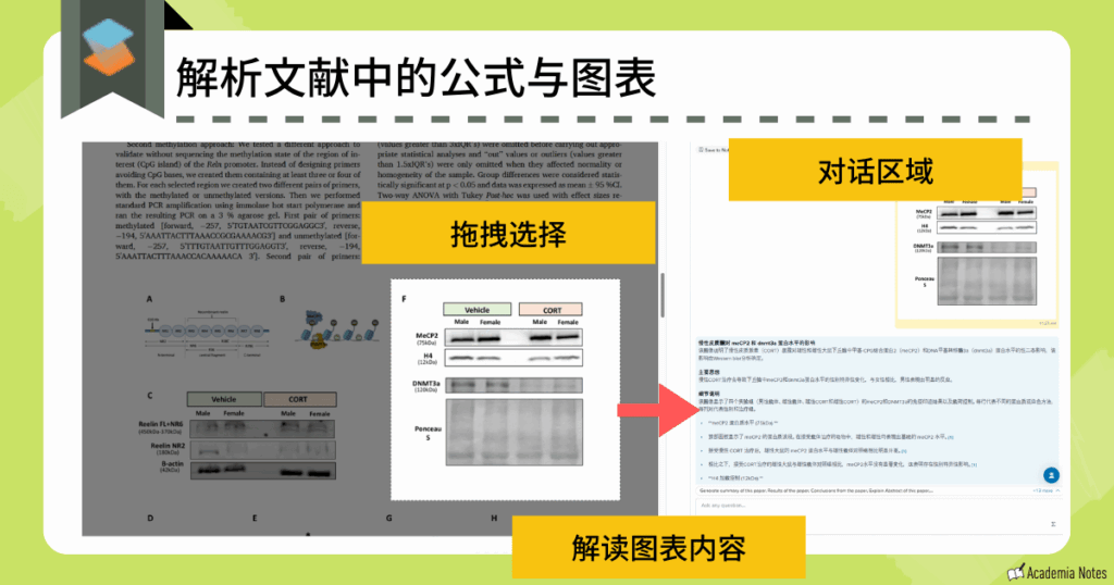解析文献公式与图表功能界面。辅助理解论文中的数据与公式。