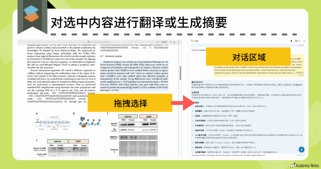 选中文本翻译或摘要界面。对选定内容进行翻译或生成摘要。