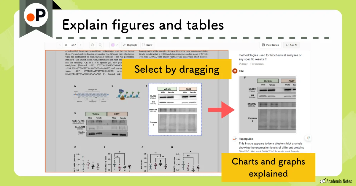 Paperguide Explain figures and tables screen