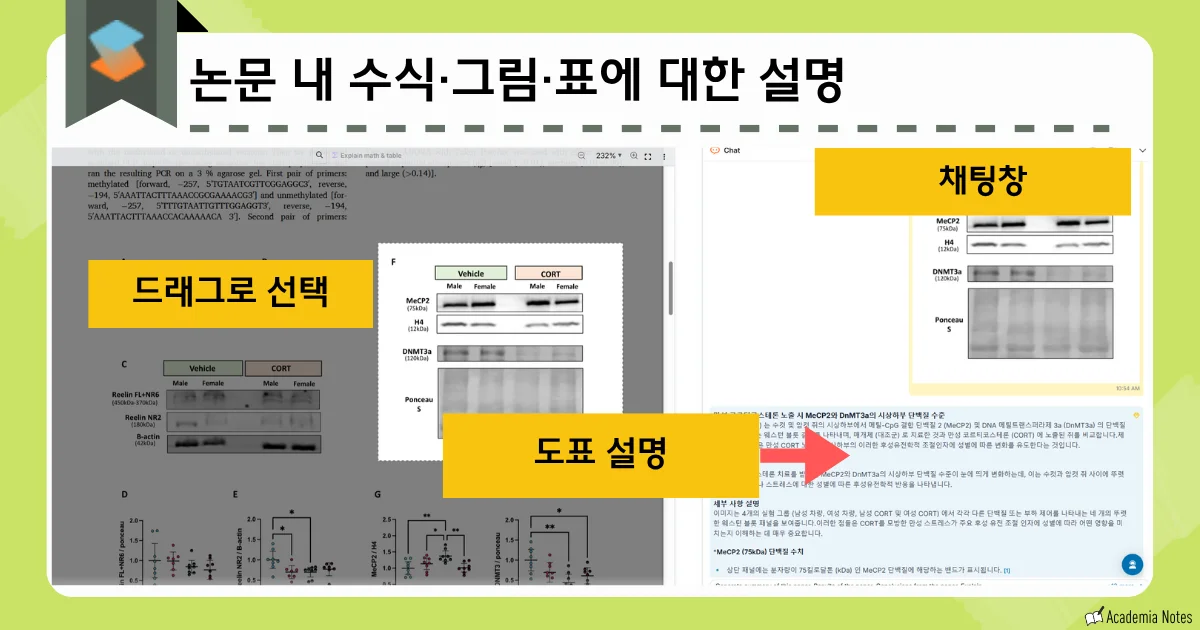 Academia Notes의 논문 내용 설명 화면