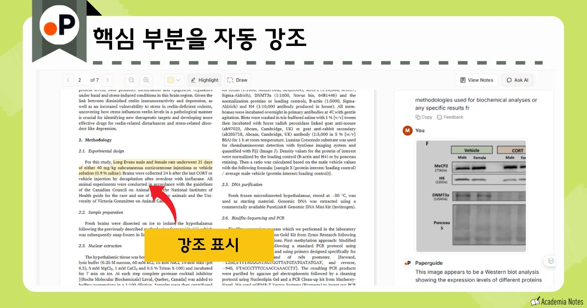 Paperguide에서 학술 논문을 보며 강조 표시하고 메모할 수 있는 화면