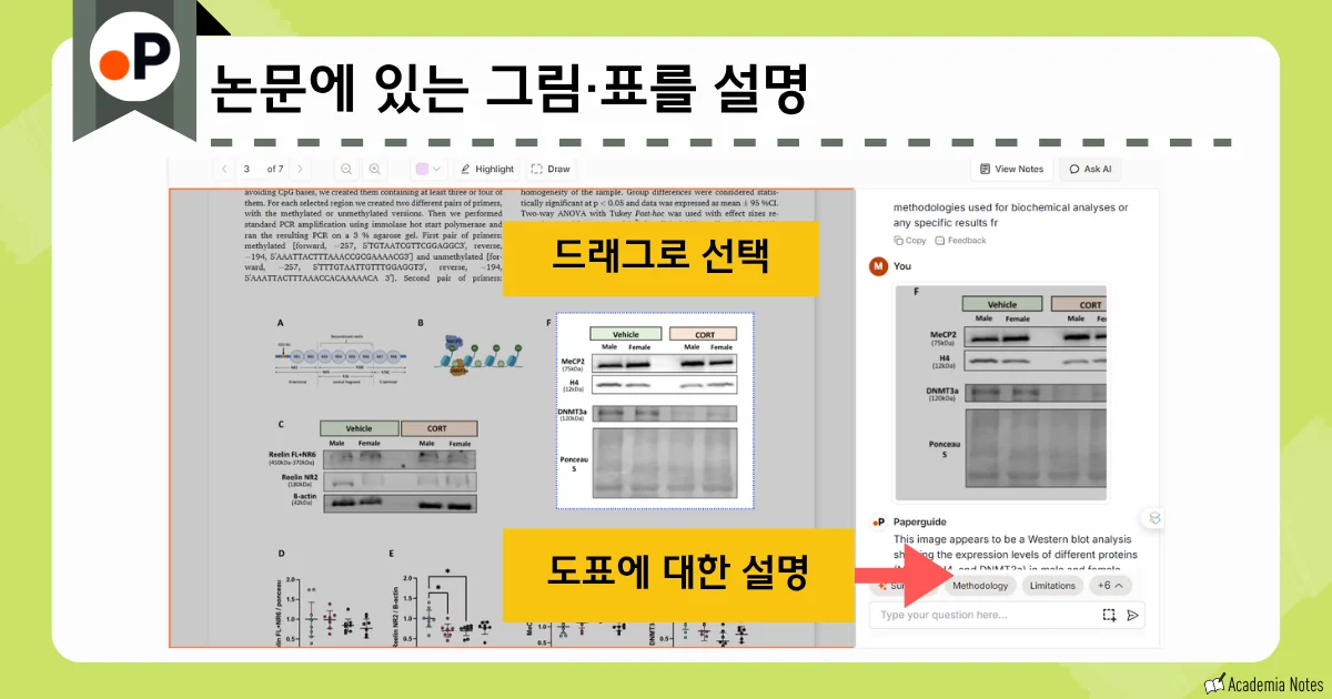 Paperguide에서 논문 분석 및 그림 설명을 제공하는 화면
